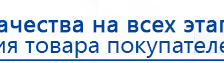 ДЭНАС-ПКМ (Детский доктор, 24 пр.) купить в Сухой Лог, Аппараты Дэнас купить в Сухой Лог, Дэнас официальный сайт denasolm.ru